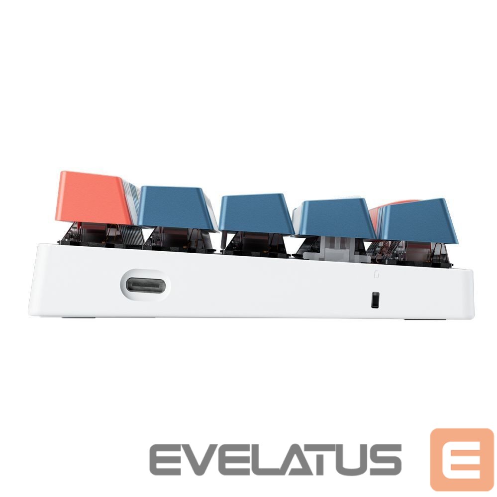 Computer keyboard Machenike Machenike K500-B61 Wired Mechanical Gaming Keyboard with Backlight, Red Switch - White and Blue