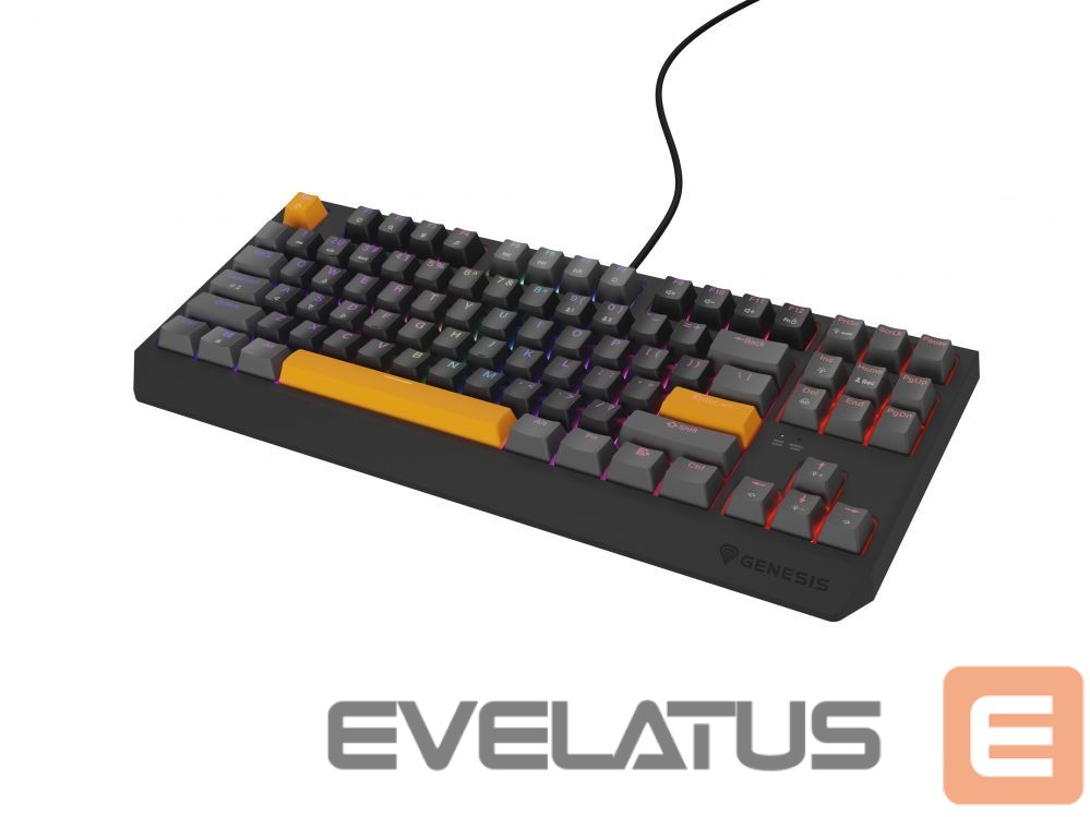 Computer keyboard Genesis THOR 230 | Mechanical Gaming Keyboard | Wired | US | Anchor Gray Positive | USB Type-A | Outemu Red