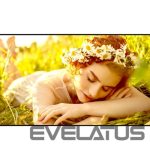 Monitor LG  4K UHD Signage | 65UL5Q-E | 65 " | 500 cd/m² | Landscape/Portrait | 24/7 | webOS | 8 ms | 178 ° | 178 ° 