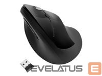 Computer components Kensington  K75501EU  Pro Fit E 