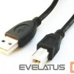 Cable Gembird  CABLE USB2 AM-BM 1.8M/CCP-USB2-AMBM-6 