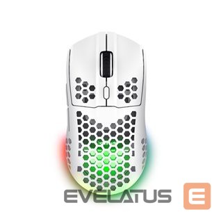 Computer mouse Trust MOUSE USB OPTICAL WRL GXT929W/HELOX LIGHTW WHITE 25390