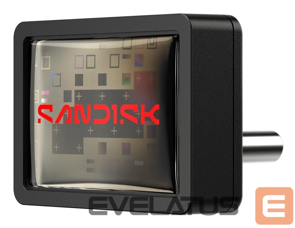 Flash drive SANDISK BY WESTERN DIGITAL MEMORY DRIVE FLASH USB-C 256GB/SDCZ530-256G-G46