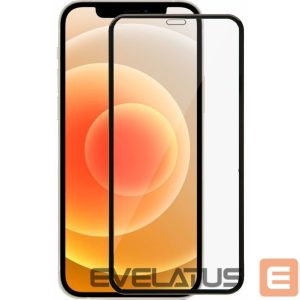 Protective glass iLike Apple Apple iPhone 12/12 Pro 6.1 Black 