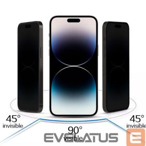 Protective glass iLike Apple IPHONE 16 Tempered Privacy Glass Black