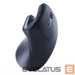 Computer mouse Gembird  MOUSE USB OPTICAL WRL BLACK/ERGONOMIC MUSW-ERGO-03 