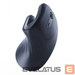 Computer mouse Gembird  MOUSE USB OPTICAL WRL BLACK/ERGONOMIC MUSW-ERGO-03 