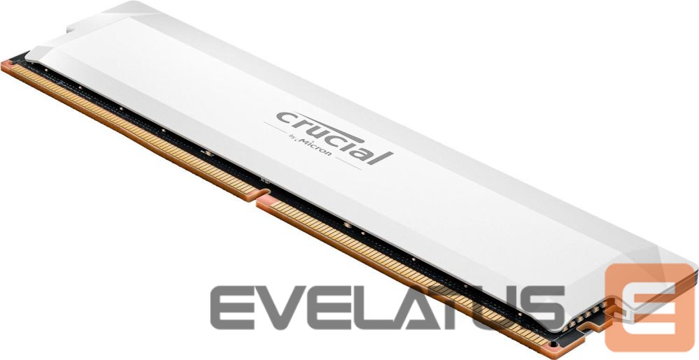 RAM DDR4 Crucial MEMORY DIMM PRO 16GB DDR5-6400/CP16G64C38U5W