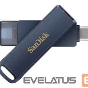 Flash drive SANDISK BY WESTERN DIGITAL  MEMORY DRIVE FLASH USB-C 64GB/SDIXD0N-064G-GN6NN 
