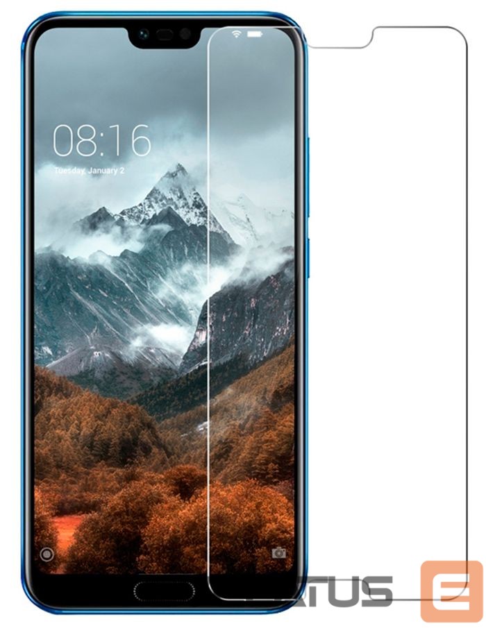 Protective glass Evelatus Huawei Honor 10 2.5D Full Cover Japan Glue Glass Anti-Static