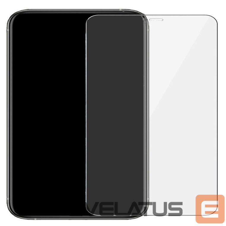 Protective glass Evelatus Apple iPhone 12 Pro Max 6.7'' 0.33 Flat Clear Glass Japan Glue Anti-Static