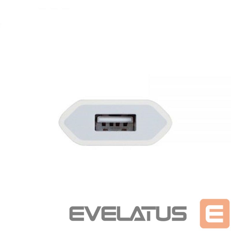 Adapter Apple MD813 A1400 iPhone Bulk