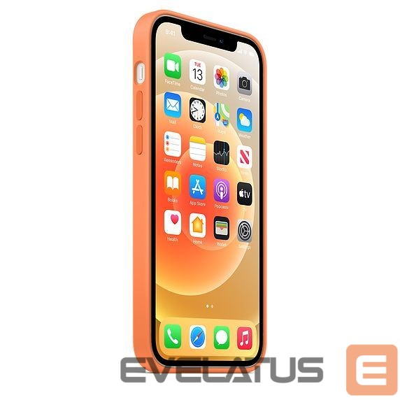 Back panel cover Apple Silicone Case with MagSafe for iPhone 12 mini Kumquat
