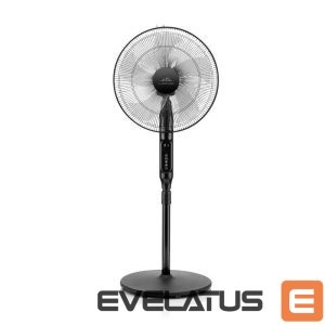 Fan ETA  Naos Fan 260790000 Stand Fan, Number of speeds 4, 50 W, Oscillation, Diameter 43 cm, Black 