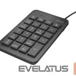 Computer keyboard Trust  KEYBOARD NUMERIC XALAS/22221 