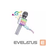 Microphone Bemi  M85 Karaoke Kids & Adult Fun Effect Microphone with Speakers & Recod Micro SD USB Bluetooth 