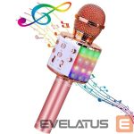 Microphone HQ  Royal Song WS-858 Karaoke Kids & Adult Fun Effect Microphone with Speakers & Recodr Micro SD USB 