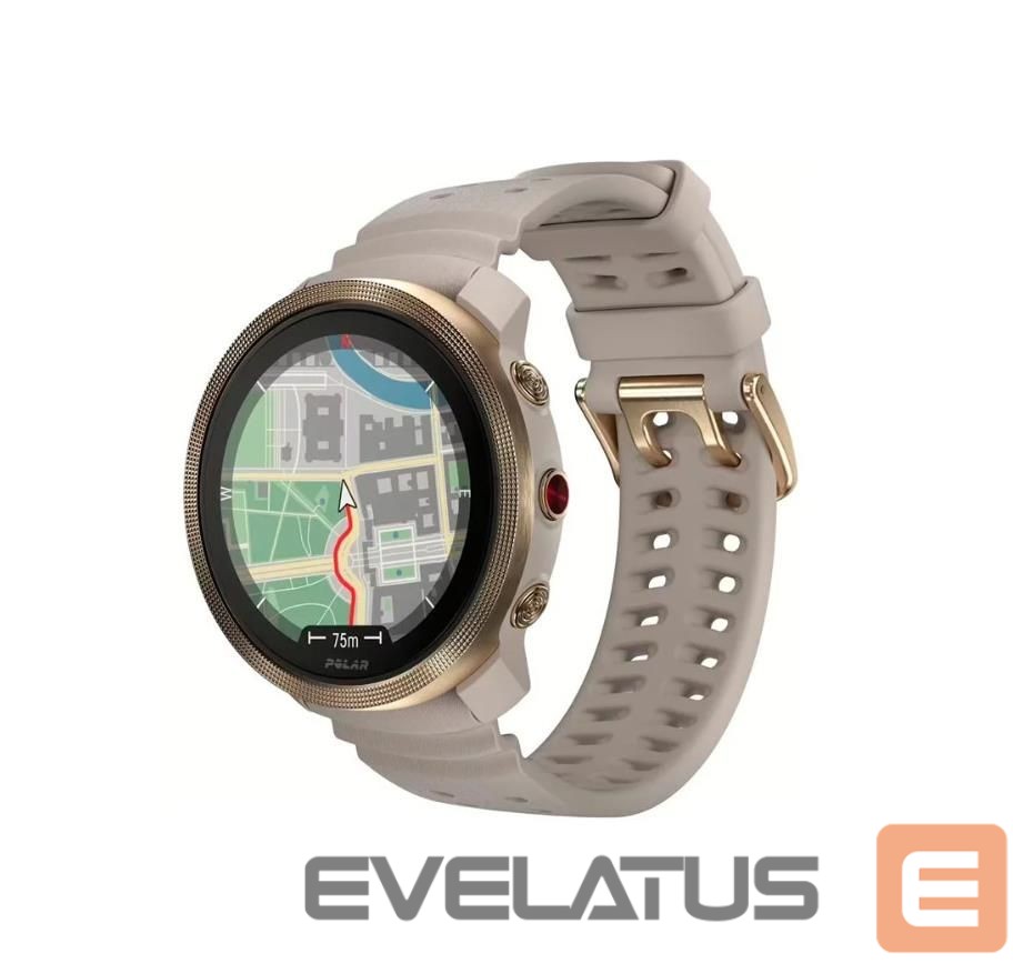 Smart watches Polar VANTAGE M3 GRY/GOLD