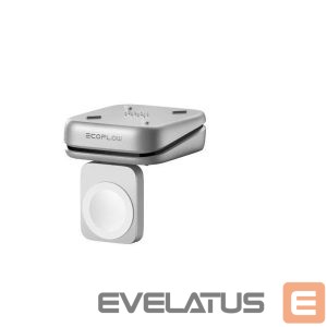 Cables and wires ECOFLOW  CHARGER MAG BLOCK RAPID PRO X/5019304001 
