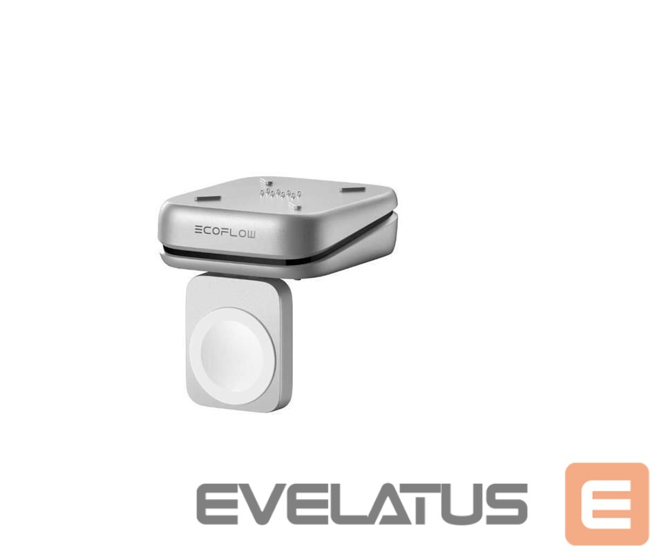 Cables and wires ECOFLOW CHARGER MAG BLOCK RAPID PRO X/5019304001
