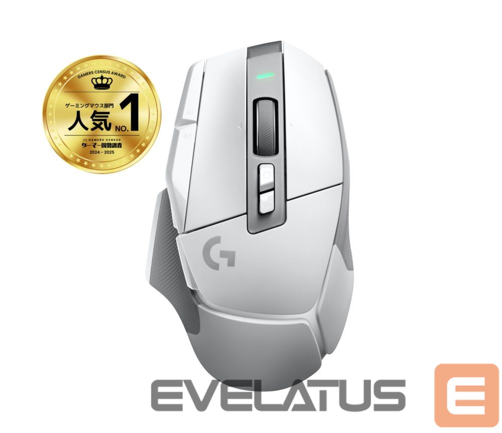 Computer mouse Logitech MOUSE USB WRL G502X LIGHTSPEED/WHITE 910-006189