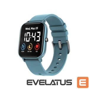 Smart watches Canyon  Smartwatch Wildberry SW-74 Blue