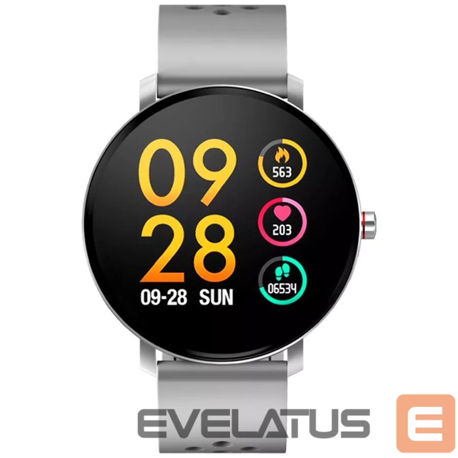 Smart watches Denver SW-171 grey