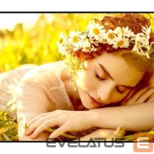 Monitor LG  DISPLAY LCD 55" 4K/55UL5Q-E 