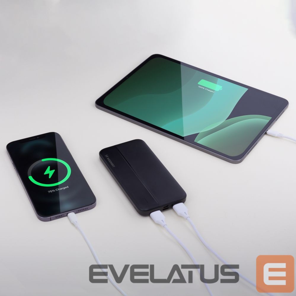Power bank Wozinsky Wozinsky powerbank Li-Po 10000mAh 2 x USB black (WPBBK1)
