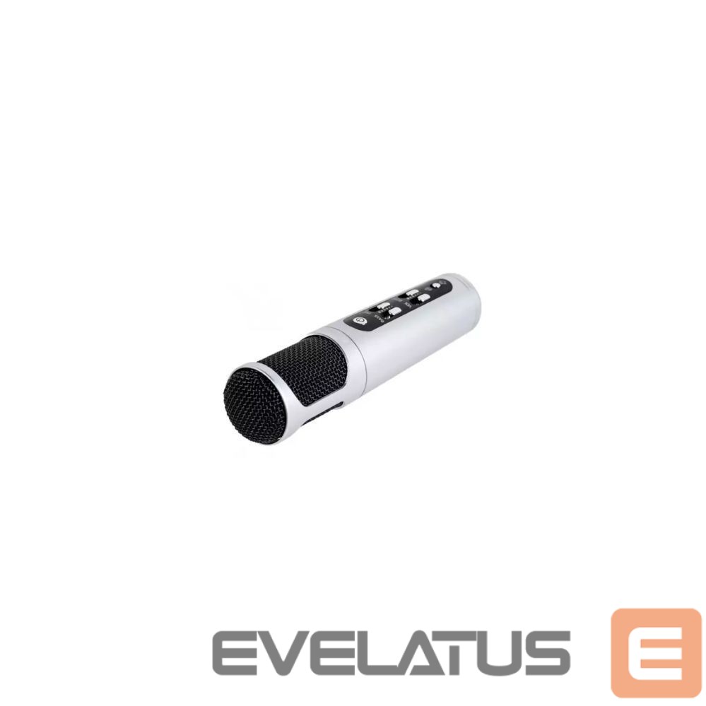 Microphone iWear M85 Karaoke Kids & Adult Fun Effect Microphone with Speakers & Recodr Micro SD USB Bluetooth