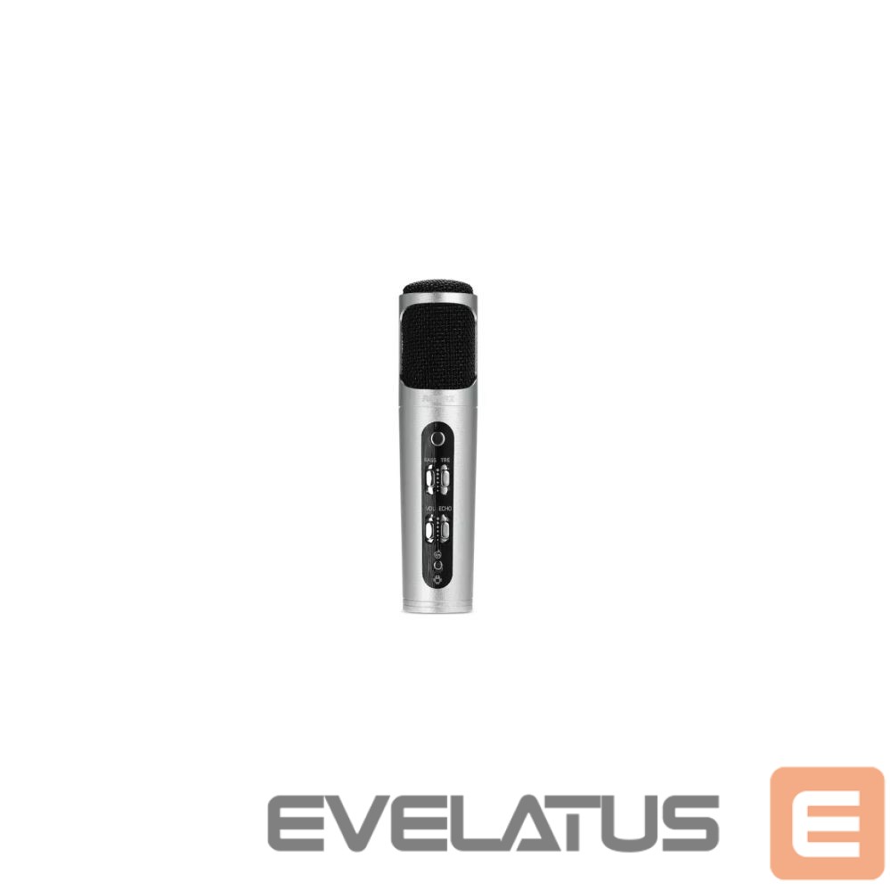 Microphone iWear M85 Karaoke Kids & Adult Fun Effect Microphone with Speakers & Recodr Micro SD USB Bluetooth