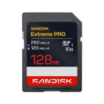 Other Computer Accessory SANDISK BY WESTERN DIGITAL  MEMORY SDXC 128GB UHS-1/SDSDXXJ-128G-GSCIN 