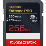 Other Computer Accessory SANDISK BY WESTERN DIGITAL  MEMORY SDXC 256GB UHS-1/SDSDXXJ-256G-GSCIN 