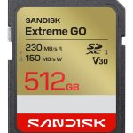 Other Computer Accessory SANDISK BY WESTERN DIGITAL  MEMORY SDXC 512GB UHS-I/SDSDXGN-512G-GNCIN 