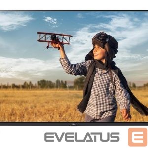 TV LG  TV Set||65 "|4K Ultra HD|3840 x 2160 pixels|Flat|16:9|LCD|65UA731C 