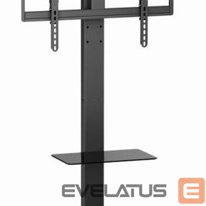 TV accessories Gembird  TV SET ACC FLOOR STAND 43-86"/TVS-86ST-01 