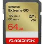 Other Computer Accessory SANDISK BY WESTERN DIGITAL  MEMORY SDXC 64GB UHS-I/SDSDXGN-064G-GNCIN 