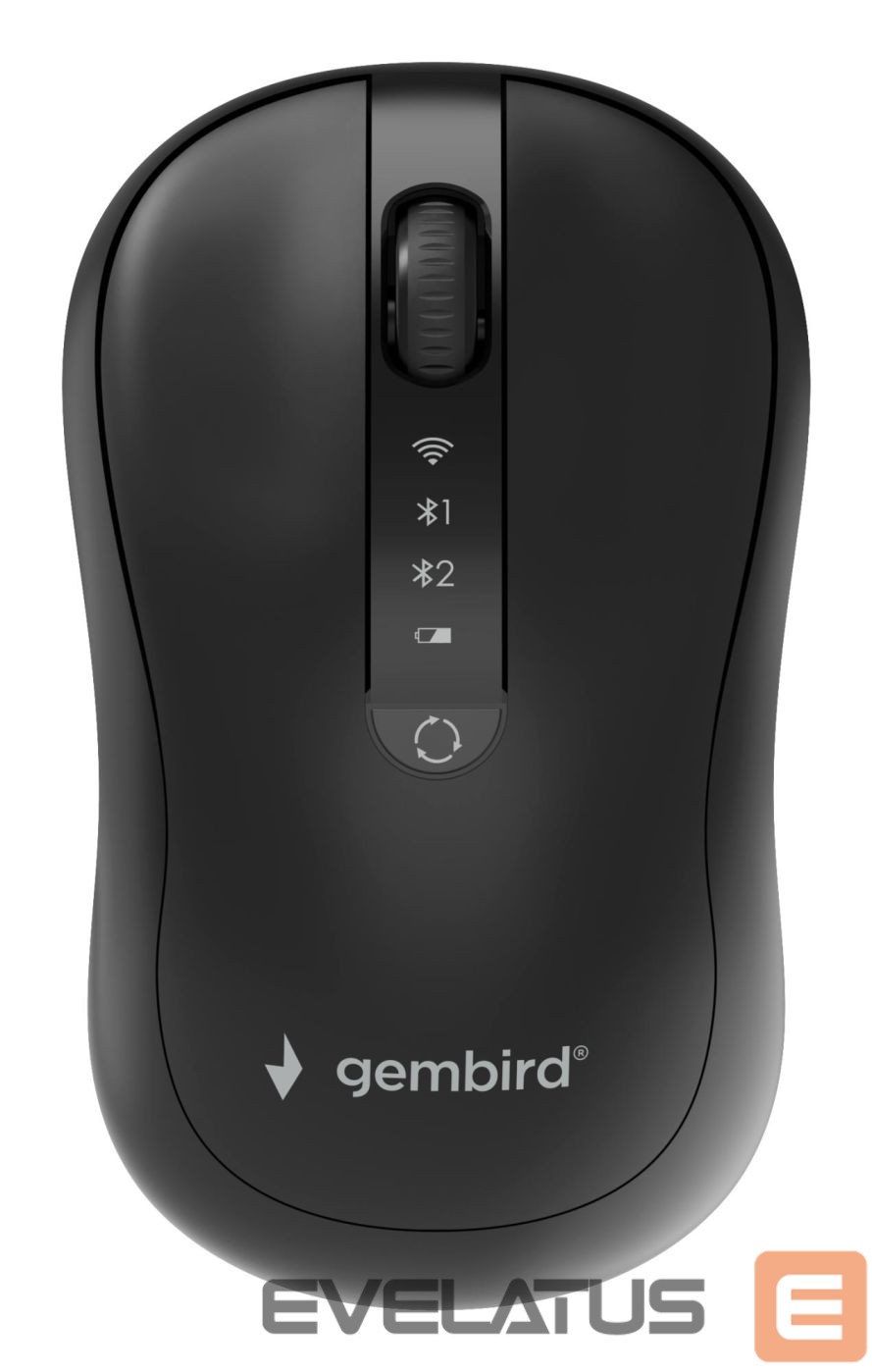 Computer mouse Gembird MOUSE USB OPTICAL WRL/MUSW2-4B-01