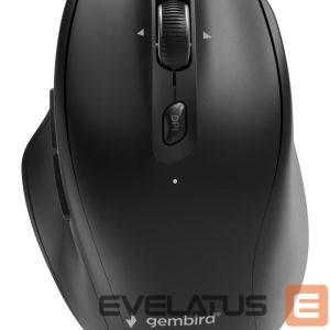Computer mouse Gembird  MOUSE USB OPTICAL WRL/MUSW2-6B-02 