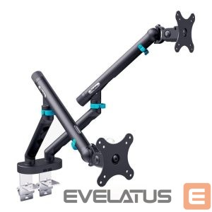 TV bracket Digitus  Desk Mount | Tilt, rotation, pivot | Dual design monitor mount, 2x 35", 2x 10 kg | 35 " | Maximum weight (capacity) 20 kg | Black 