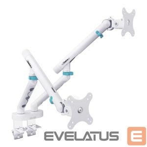 TV bracket Digitus  Desk Mount | Tilt, rotation, pivot | Dual design monitor mount, 2x 35", 2x 10 kg | 35 " | Maximum weight (capacity) 20 kg | White 
