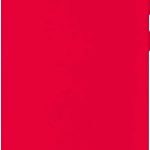 Back panel cover Evelatus Samsung Samsung Galaxy S10 Plus Soft Silicone Red