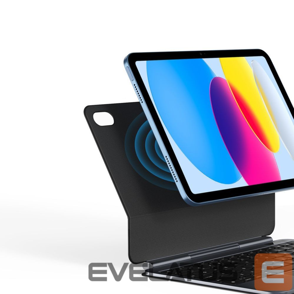 Back panel cover Dux Ducis