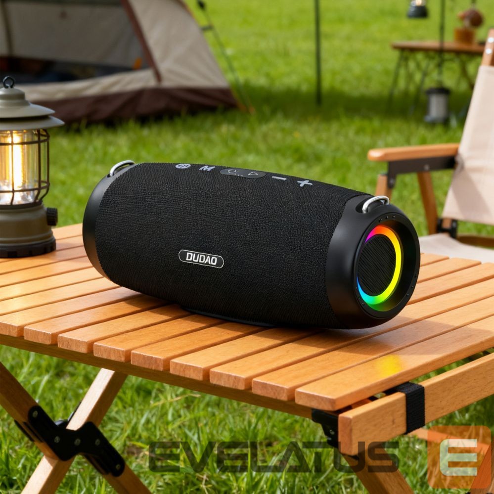Bluetooth speakers Dudao Dudao Y21Pro Wireless Speaker with RGB Backlight Bluetooth 5.3 - Black