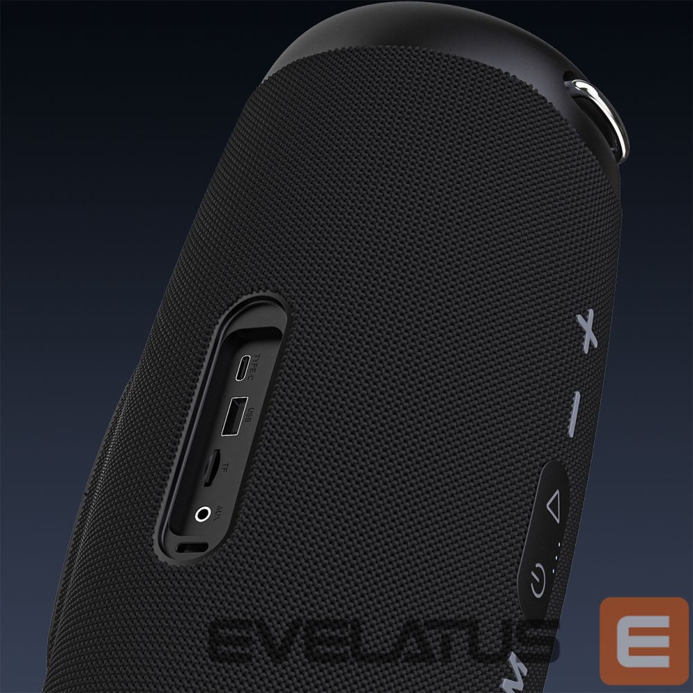 Bluetooth speakers Dudao Dudao Y21Pro Wireless Speaker with RGB Backlight Bluetooth 5.3 - Black