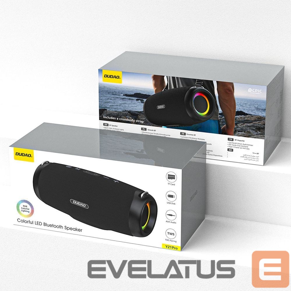 Bluetooth speakers Dudao Dudao Y21Pro Wireless Speaker with RGB Backlight Bluetooth 5.3 - Black