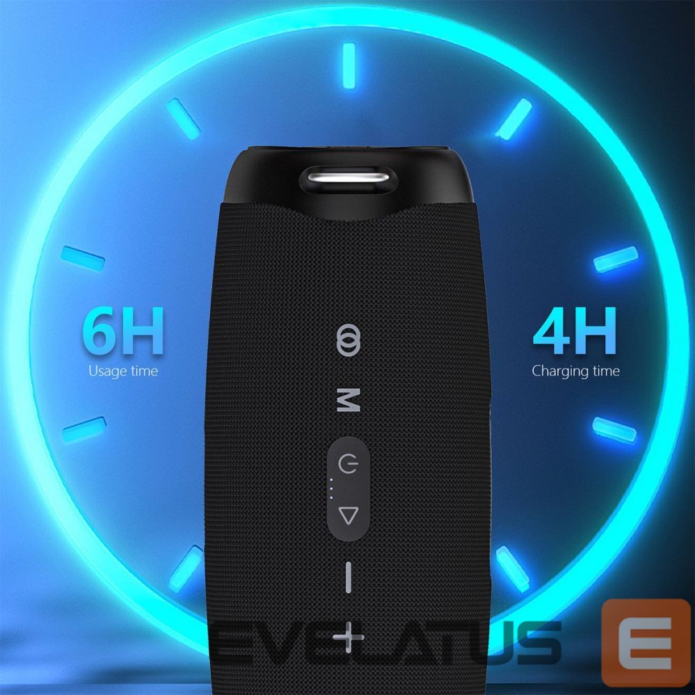 Bluetooth speakers Dudao Dudao Y21Pro Wireless Speaker with RGB Backlight Bluetooth 5.3 - Black