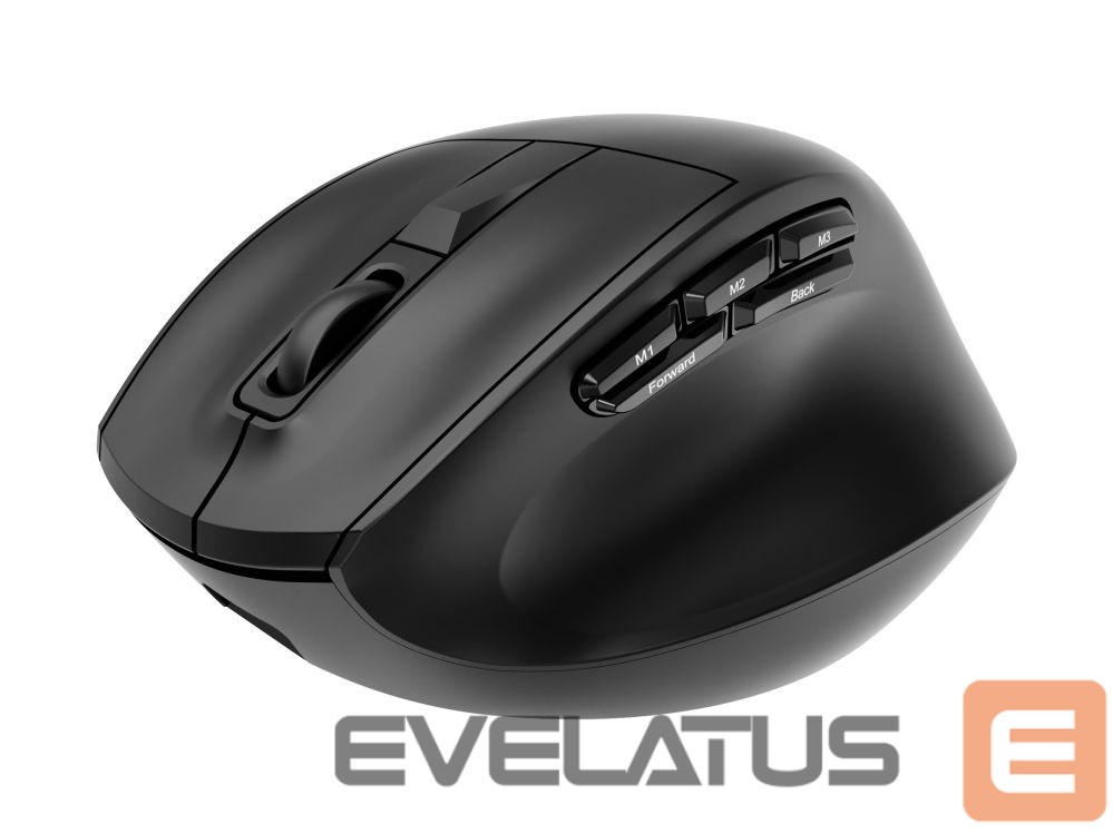 Computer mouse Gembird MUSW3-9B-01 Triple-mode 9-button wireless ergonomic mouse, black |